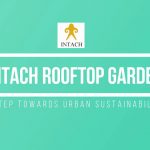 Urban rooftop gardens