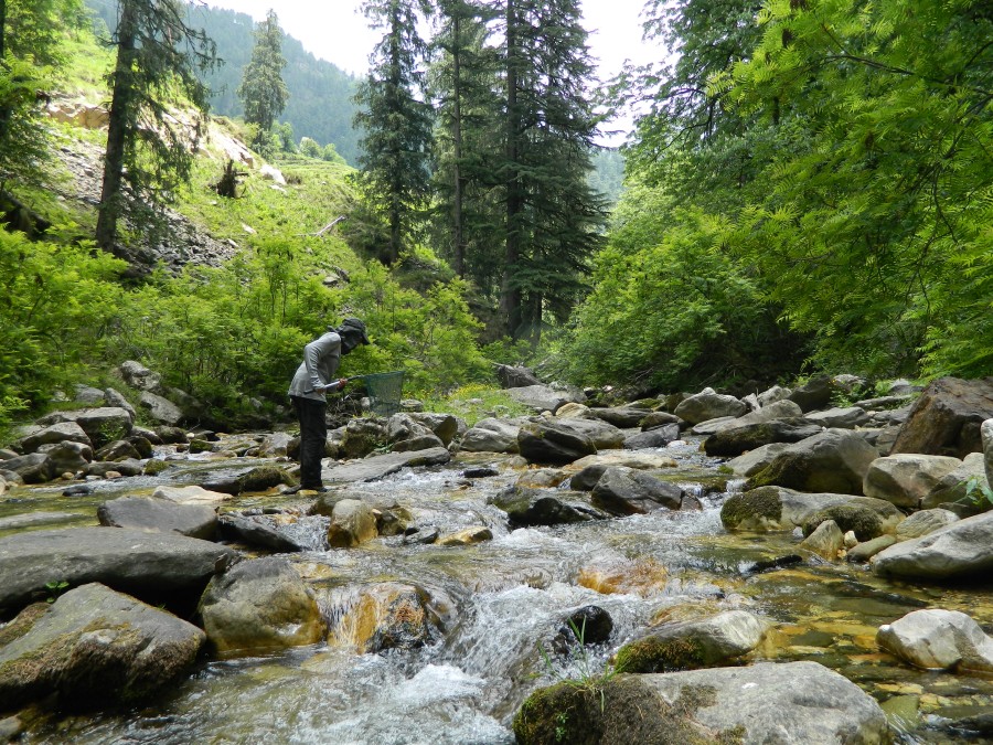 Rivers of mighty Himalayas