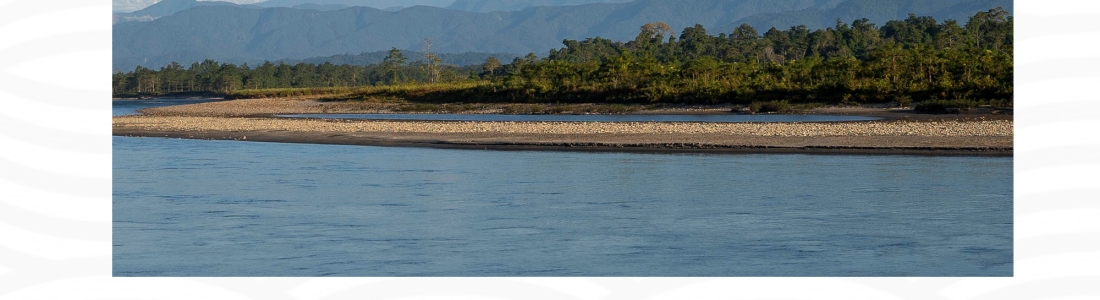 Nominations open for BPS & AMM awards- India Rivers Week 2023 - India ...